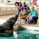 New England Aquarium