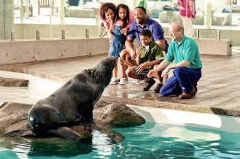 New England Aquarium